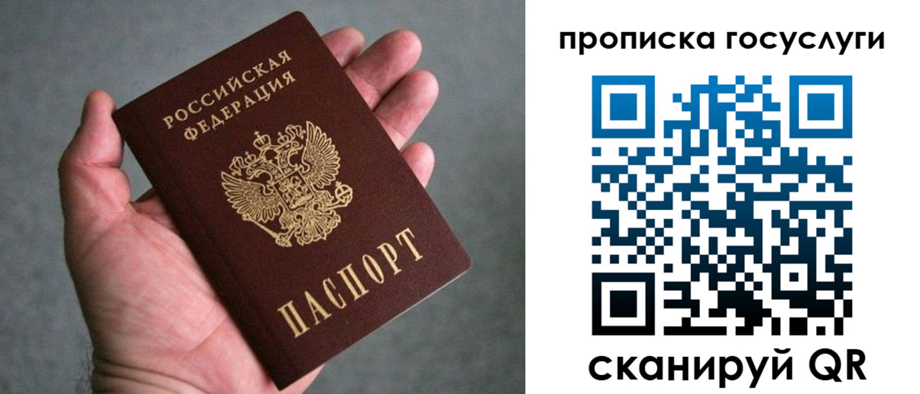прописка 2025 в Камчатской области
